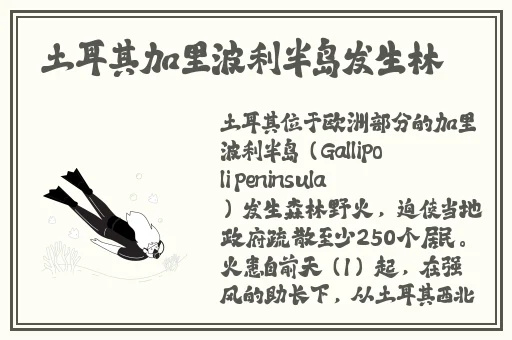 午夜精品在线观看